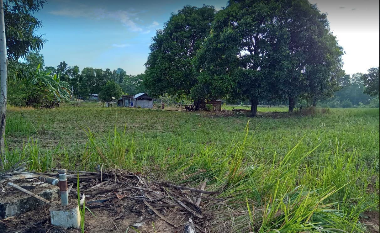 RUSH SALE AFFORDABLE SUBDIVIDED LOTS IN NARRA, PALAWAN NEAR PUERTO PRINCESA CITY - photo 2