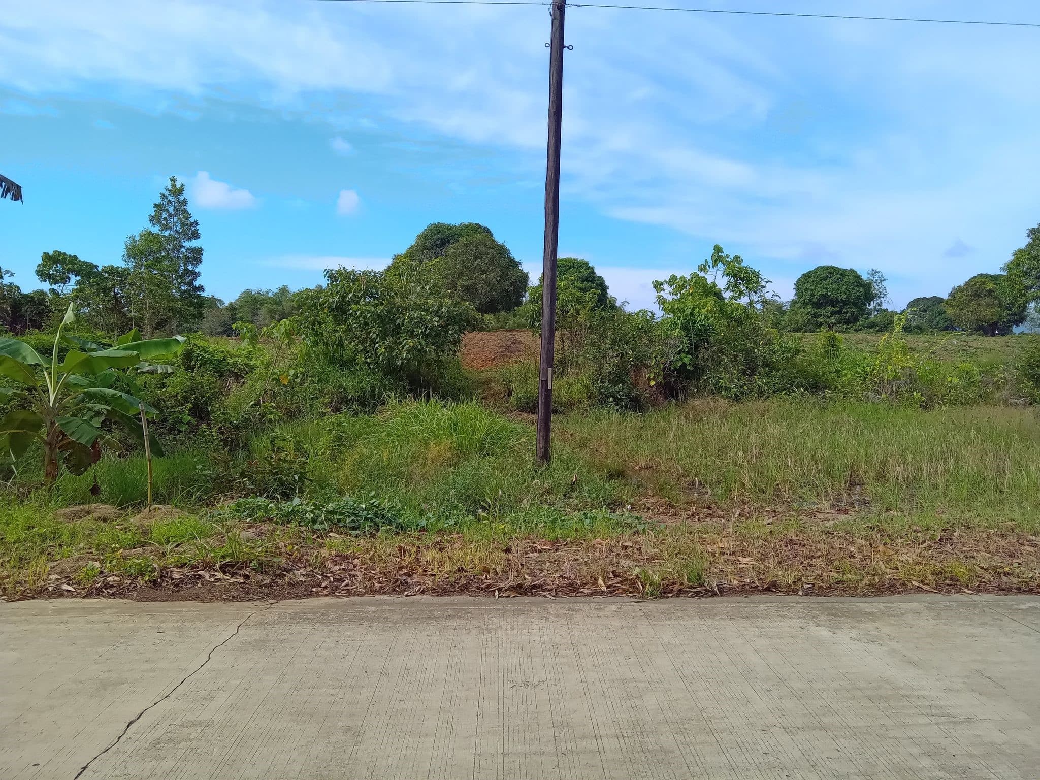 RUSH SALE AFFORDABLE SUBDIVIDED LOTS IN NARRA, PALAWAN NEAR PUERTO PRINCESA CITY - photo 5