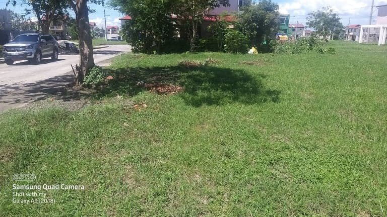 RUSH SALE CLEAN TITLED COMBINED RESIDENTIAL LOT JUST 15 TO 20 MINUTES AWAY FROM MALL OF ASIA & AIRPORT
