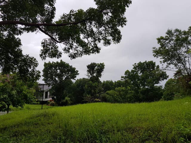 RUSH SALE PRIME CORNER LOT IN CANYON WOODS OVERLOOKING TAAL LAKE - photo 4