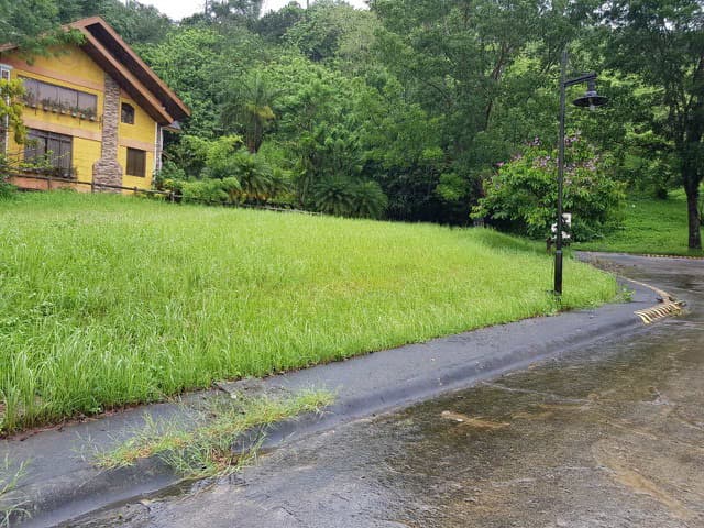 RUSH SALE PRIME CORNER LOT IN CANYON WOODS OVERLOOKING TAAL LAKE - photo 2