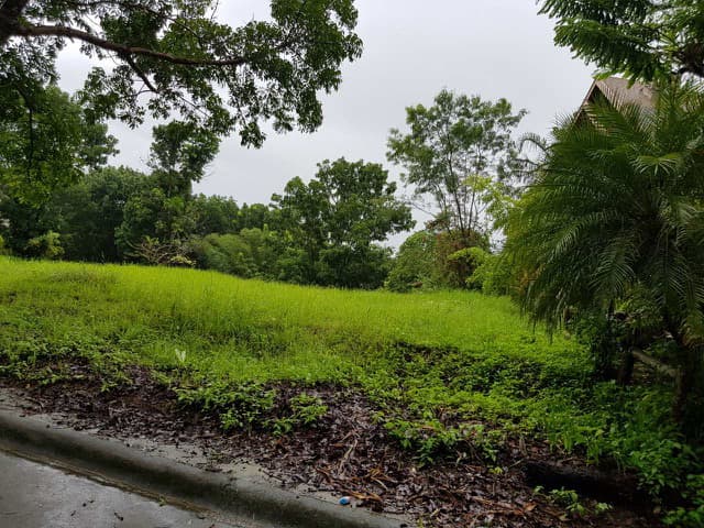 RUSH SALE PRIME CORNER LOT IN CANYON WOODS OVERLOOKING TAAL LAKE - photo 3