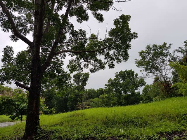 RUSH SALE PRIME CORNER LOT IN CANYON WOODS OVERLOOKING TAAL LAKE - photo 5