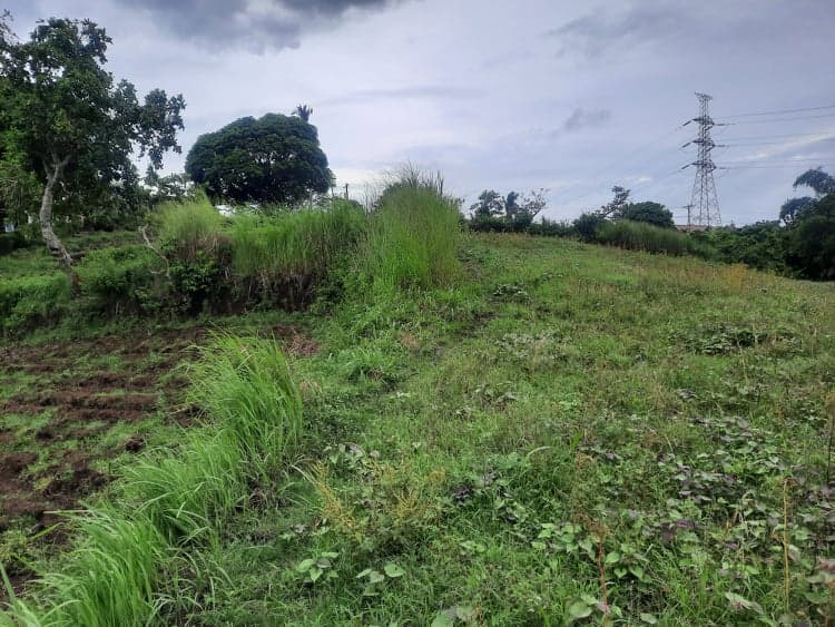 RUSH SALE 2 HECTARE LAND IN LEMERY BATANGAS OVERLOOKING TAAL LAKE! - photo 3