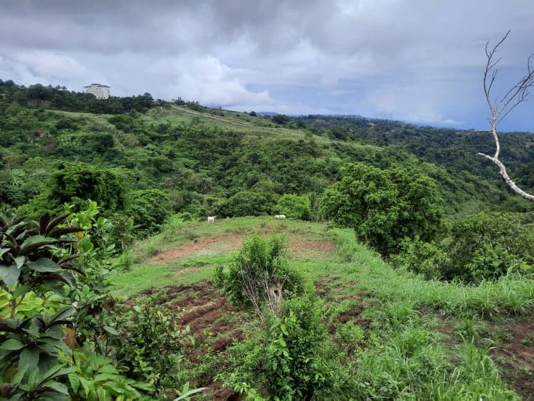 RUSH SALE 2 HECTARE LAND IN LEMERY BATANGAS OVERLOOKING TAAL LAKE! - photo 2