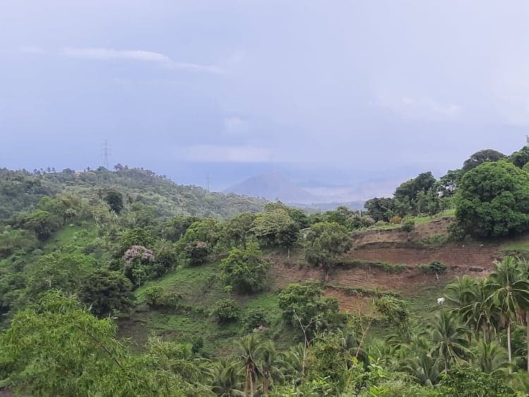 RUSH SALE 2 HECTARE LAND IN LEMERY BATANGAS OVERLOOKING TAAL LAKE!