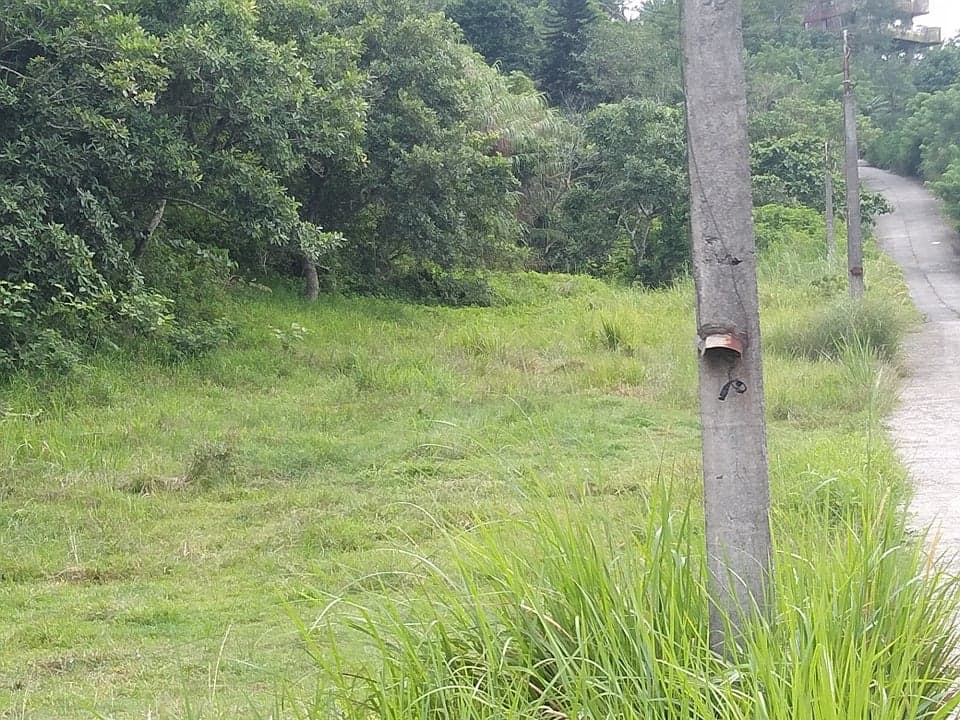 RUSH SALE 2 HECTARE LAND IN LEMERY BATANGAS OVERLOOKING TAAL LAKE! - photo 4