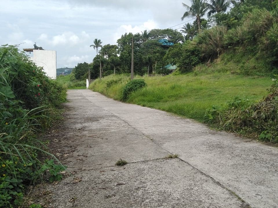 RUSH SALE 2 HECTARE LAND IN LEMERY BATANGAS OVERLOOKING TAAL LAKE! - photo 5