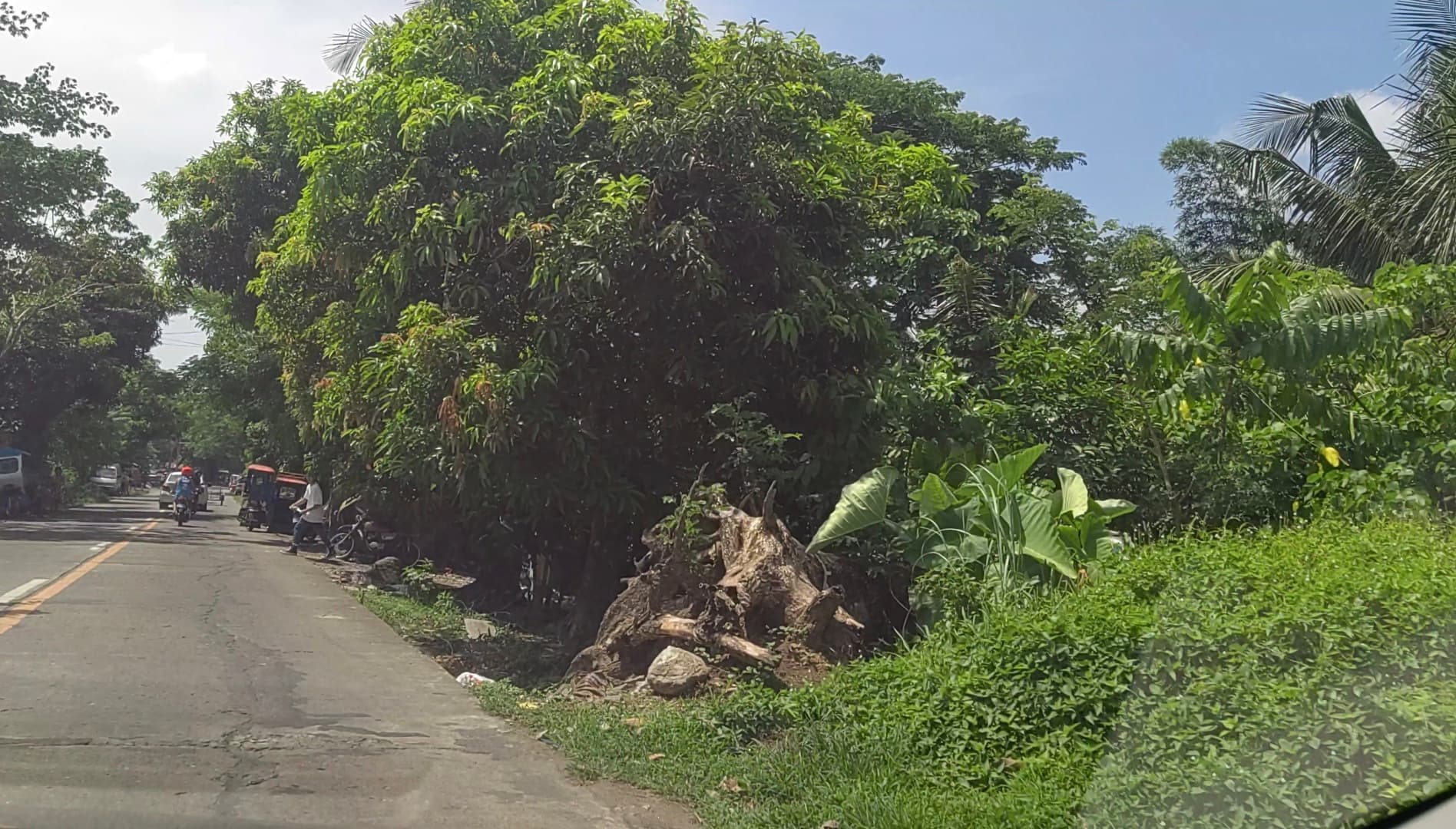 LOT For Sale in Naga City - photo 3