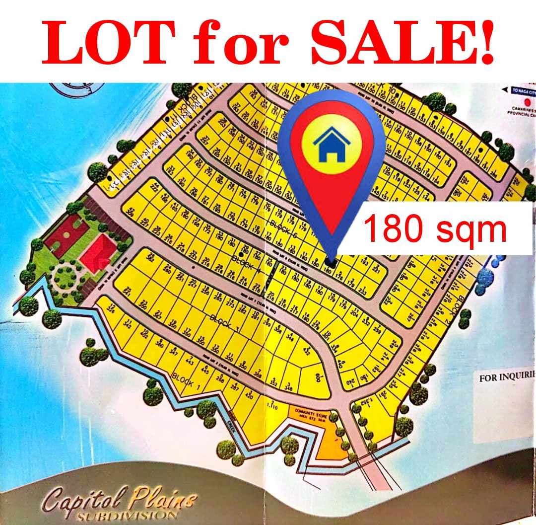 LOT FOR SALE in Capitol Plains, San Agustin, Pili Camarines Sur (Negotiable if a CASH Basis) - photo 4