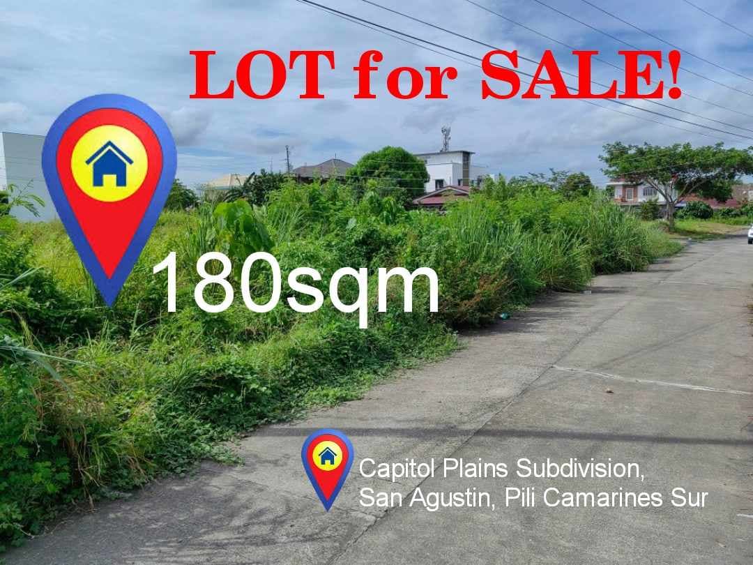 LOT FOR SALE in Capitol Plains, San Agustin, Pili Camarines Sur (Negotiable if a CASH Basis) - photo 2