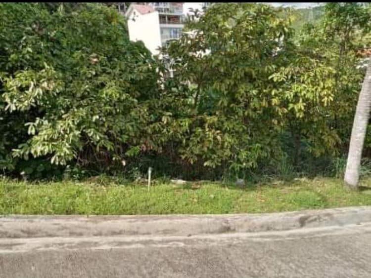 For Sale Lot Only at South Hills