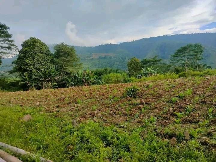 7,400 sqm Lot for Sale in Mat-i, Claveria, Misamis Oriental - photo 7