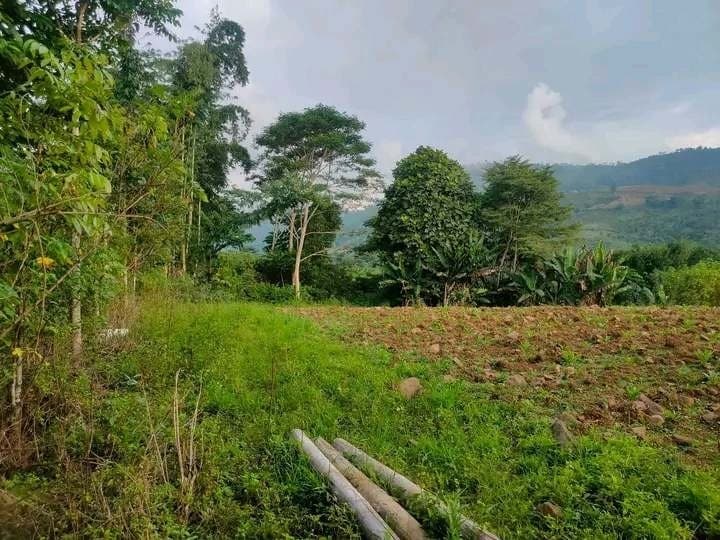 7,400 sqm Lot for Sale in Mat-i, Claveria, Misamis Oriental - photo 5