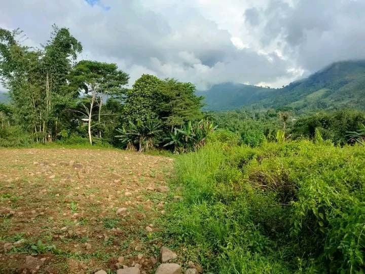 7,400 sqm Lot for Sale in Mat-i, Claveria, Misamis Oriental - photo 2