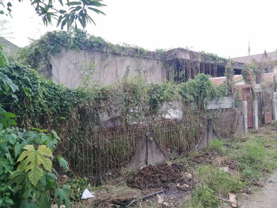 301 sqm Titled Residential Lot in Kauswagan Cagayan de Oro - photo 3