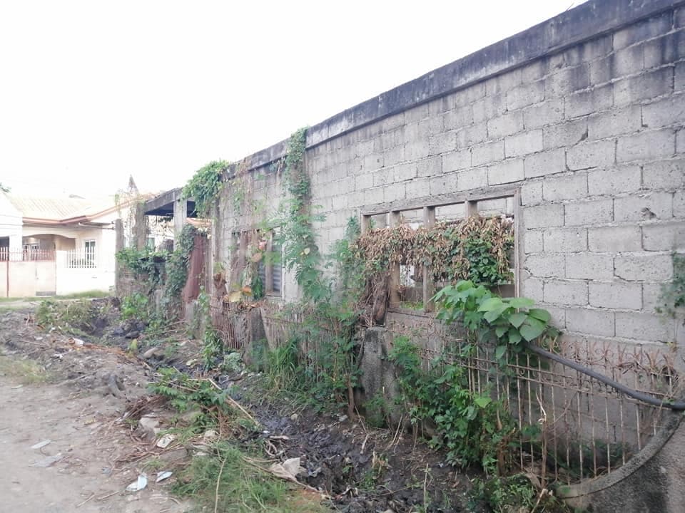 301 sqm Titled Residential Lot in Kauswagan Cagayan de Oro - photo 6