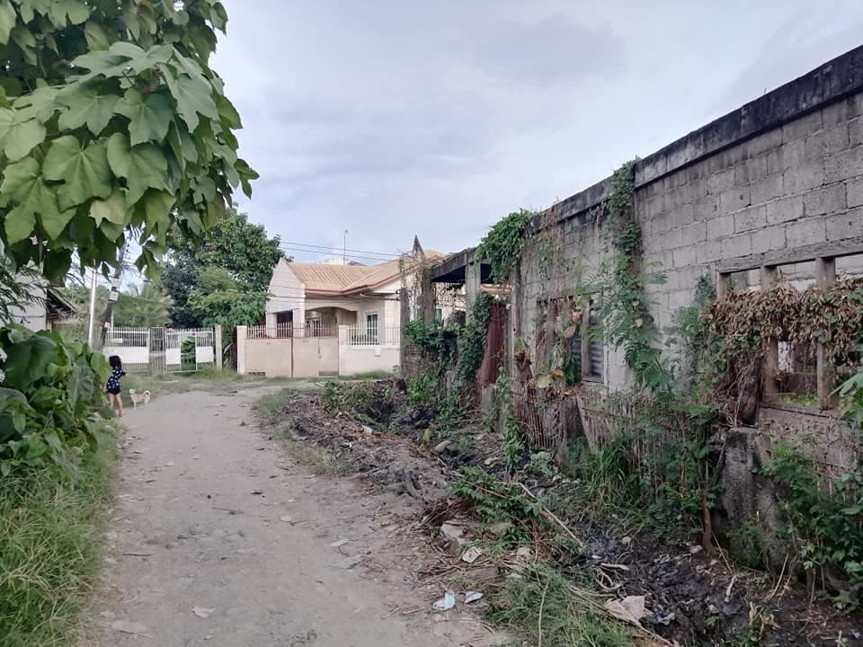 301 sqm Titled Residential Lot in Kauswagan Cagayan de Oro - photo 5