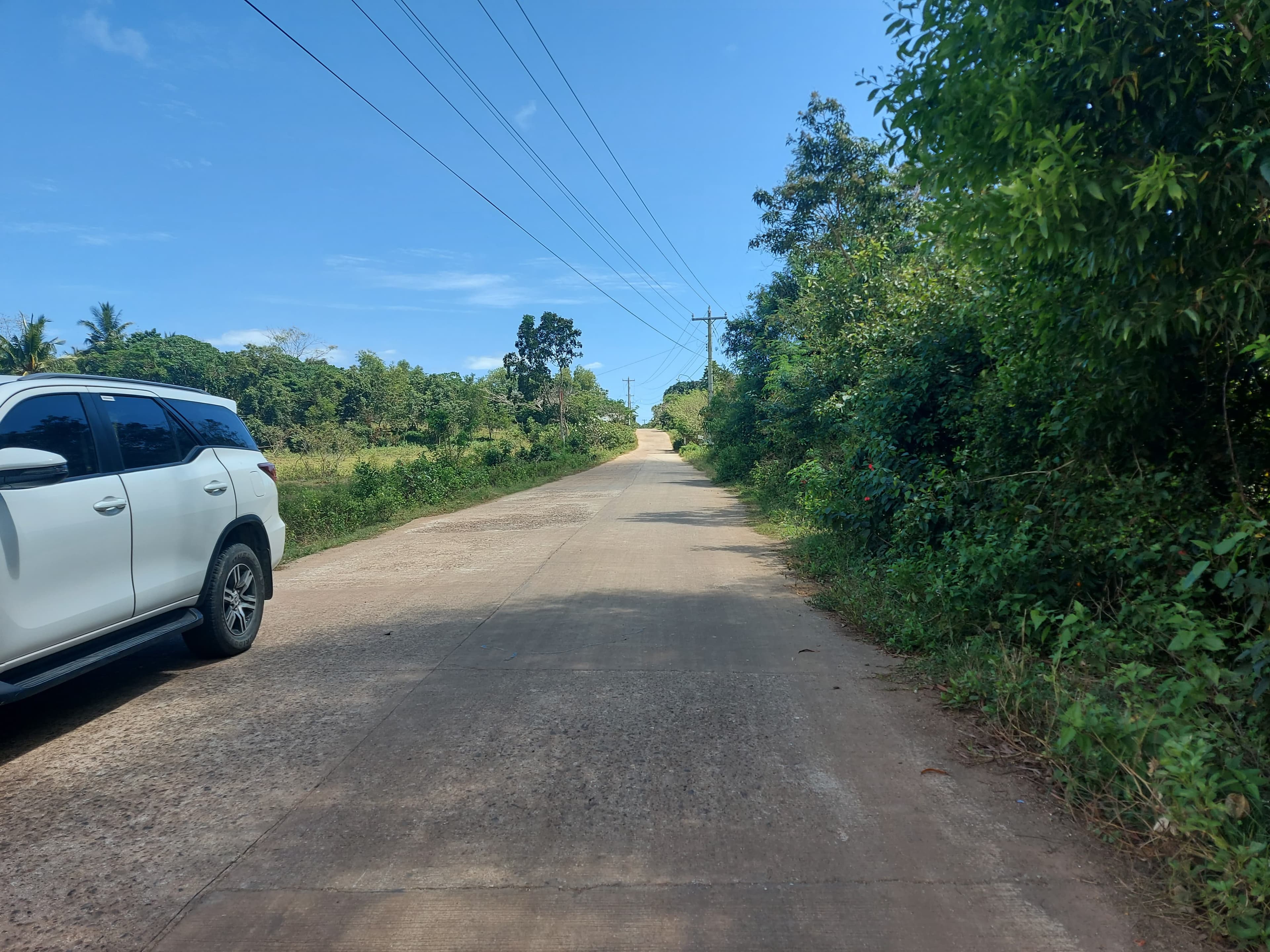 Lot For Sale in Panglao Bohol - photo 2
