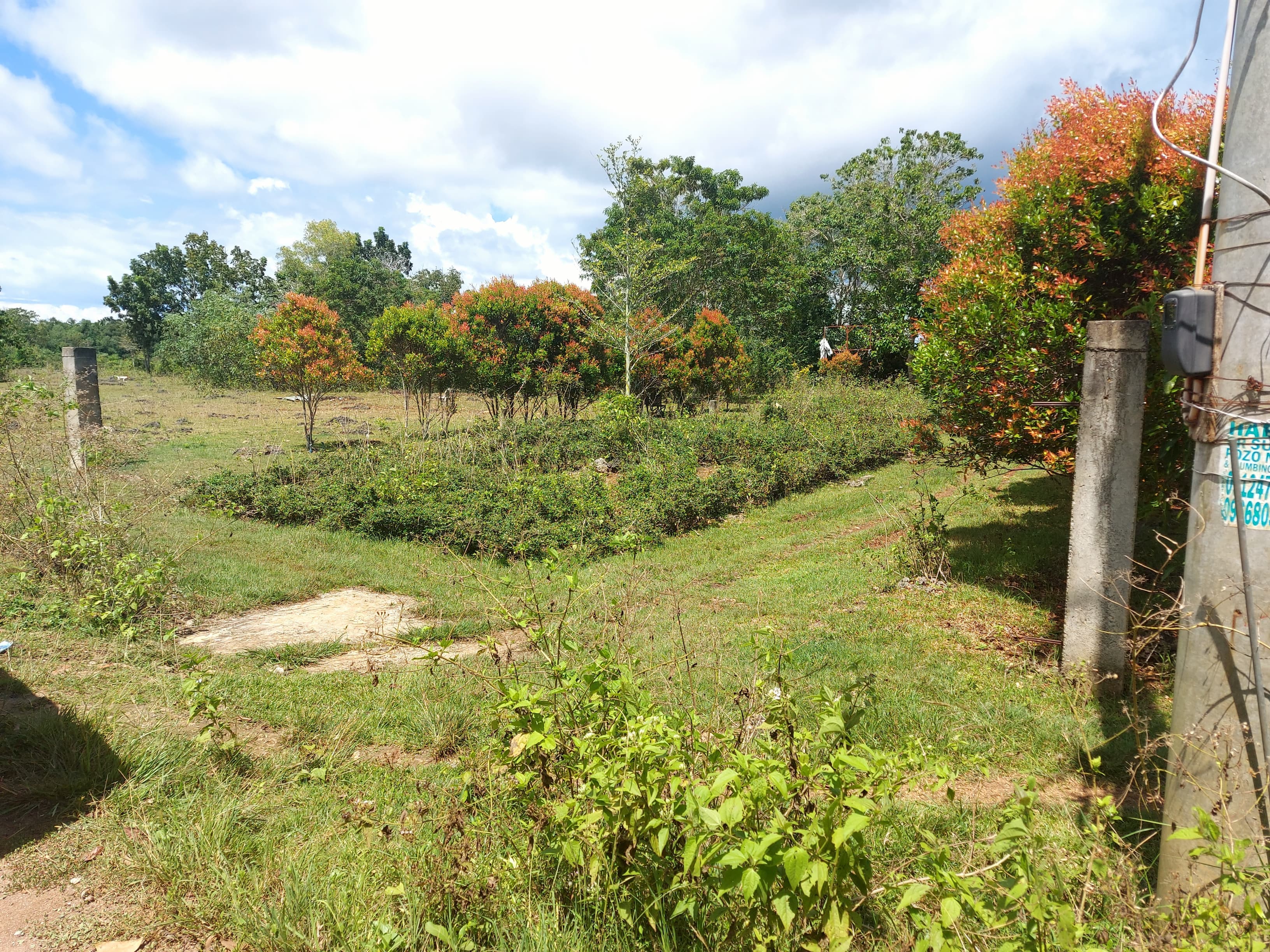 Lot For Sale in Panglao Bohol - photo 3