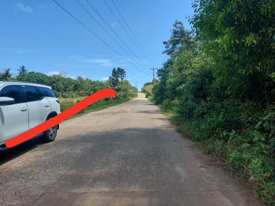 Lot For Sale in Panglao Bohol