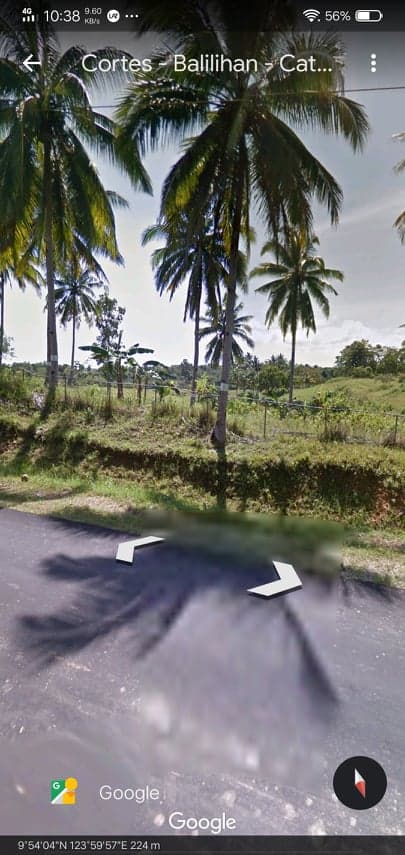 Lot for sale in Tubigon Bohol