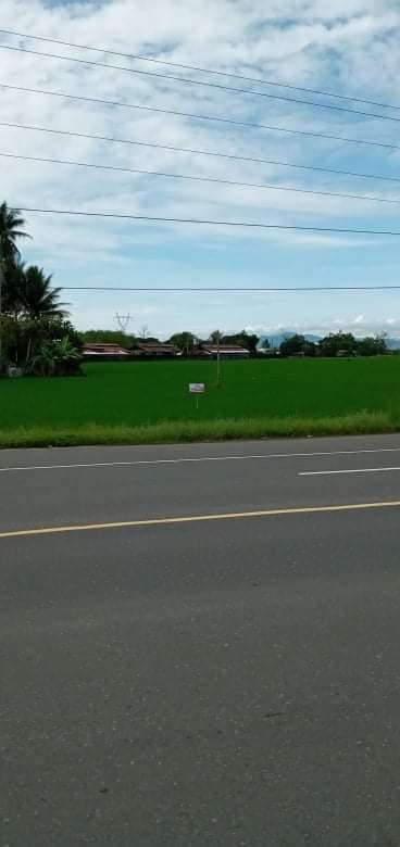 Lot for sale in Butuan - photo 2