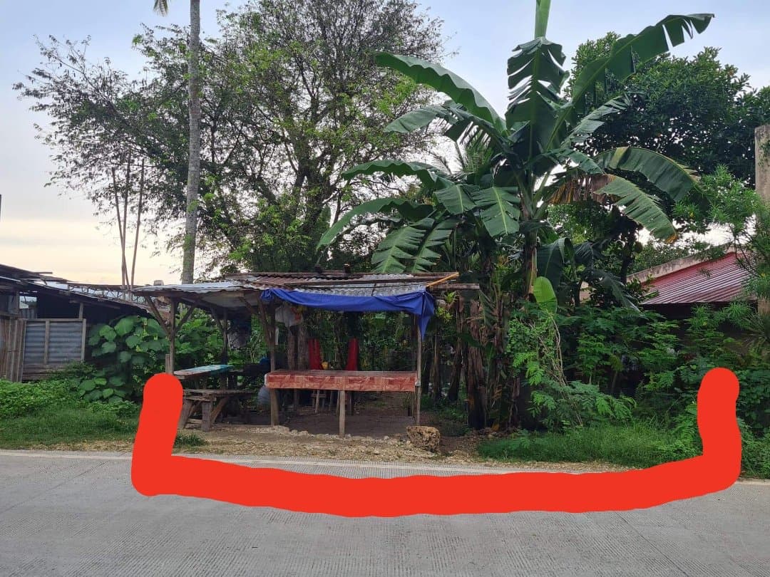 Lot For Sale in Yati Liloan