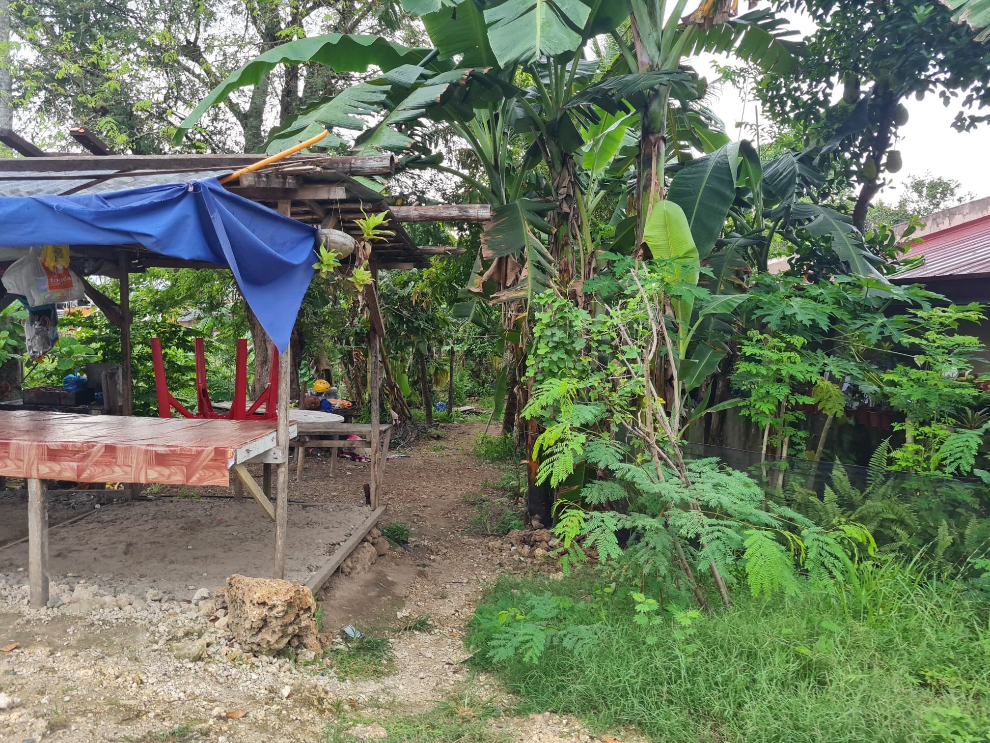 Lot For Sale in Yati Liloan - photo 6