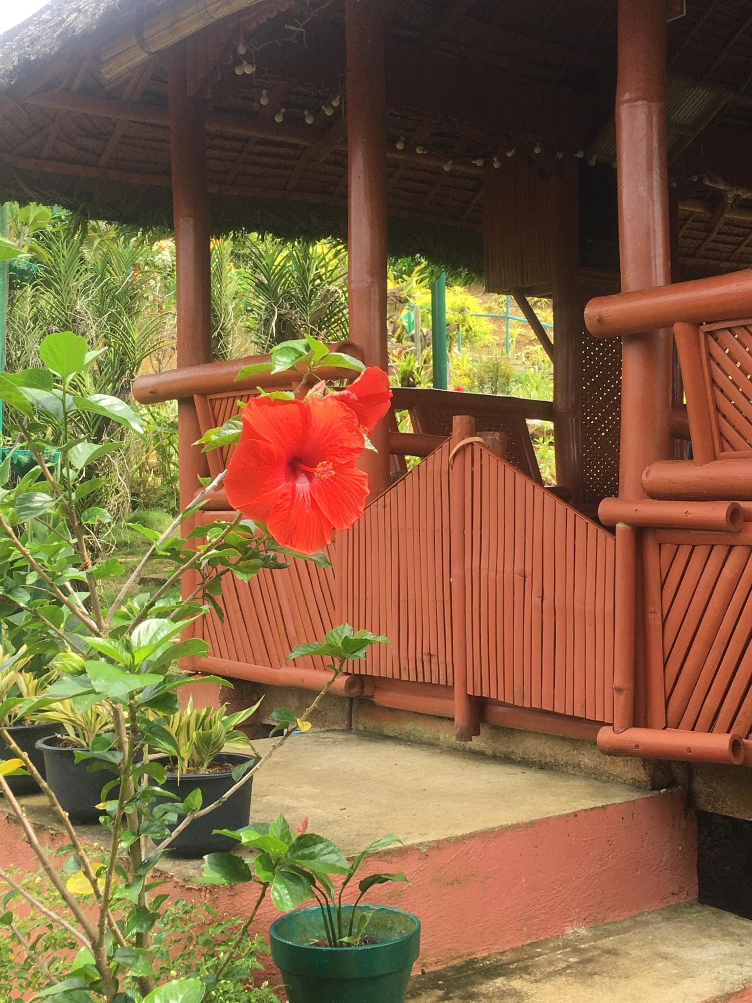 Developed Lot for sale in Busay - photo 7