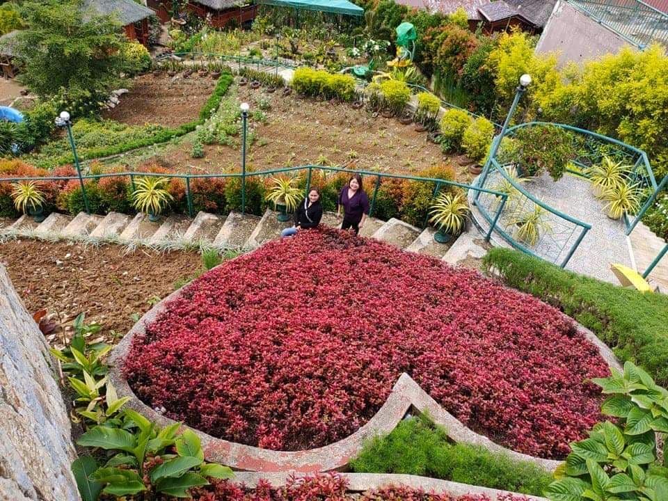 Developed Lot for sale in Busay - photo 1