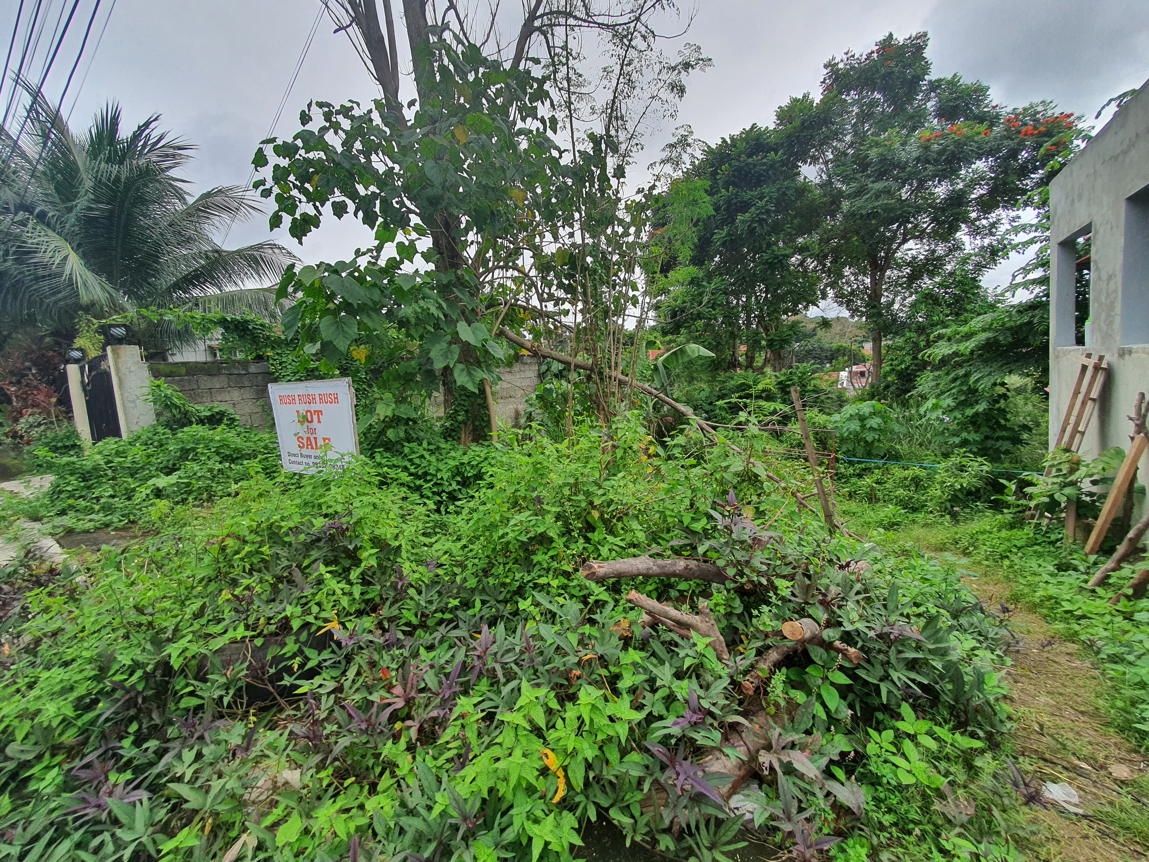 121 sqm Lot only in Montana Vista - photo 4