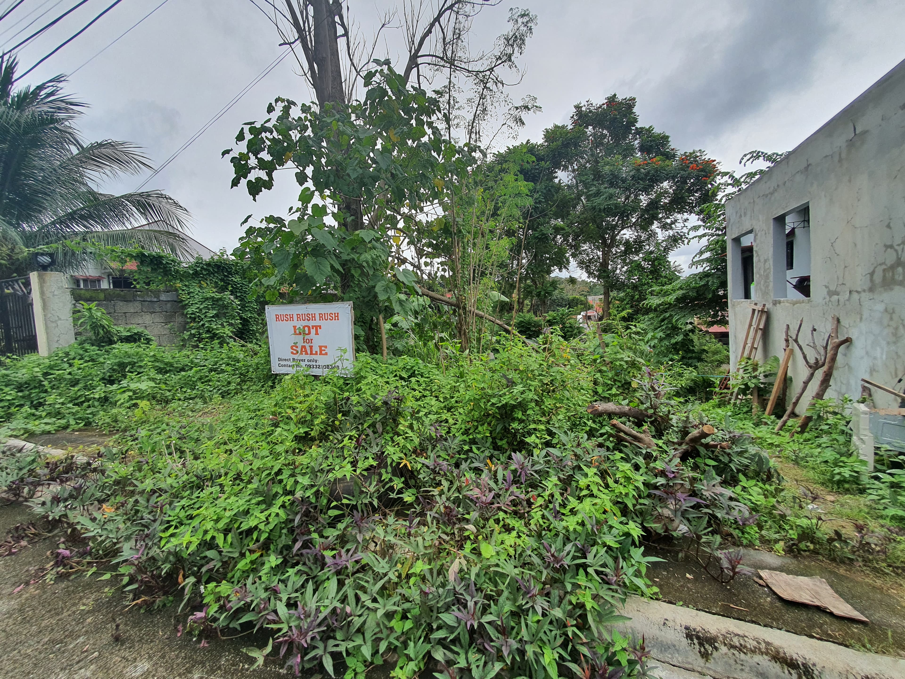 121 sqm Lot only in Montana Vista