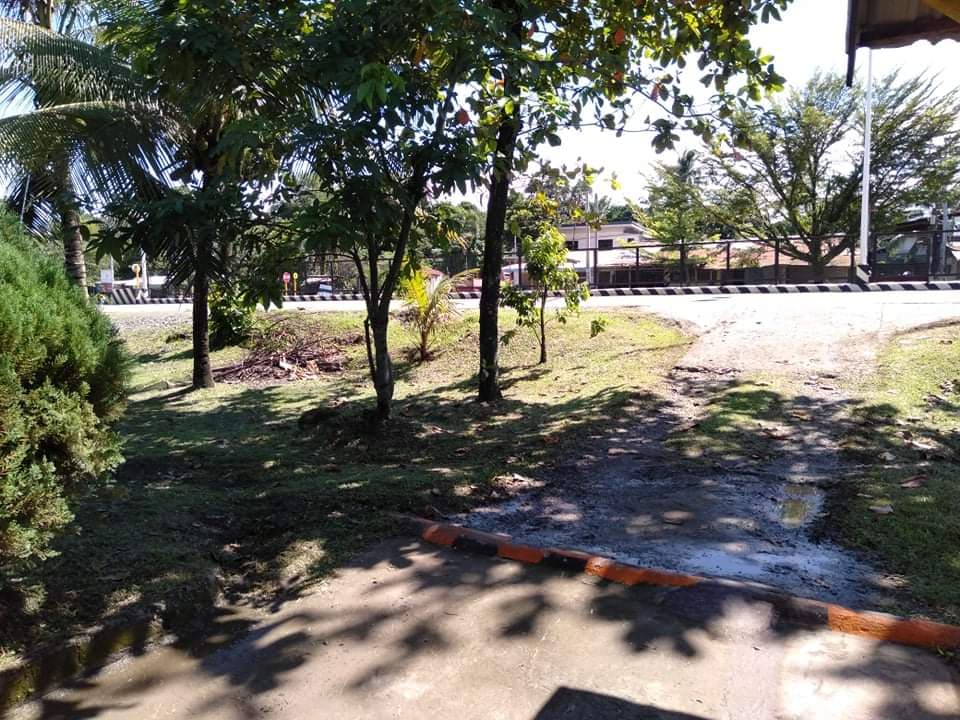 Commercial Lot along Don Carlos Highway, Bukidnon - photo 4