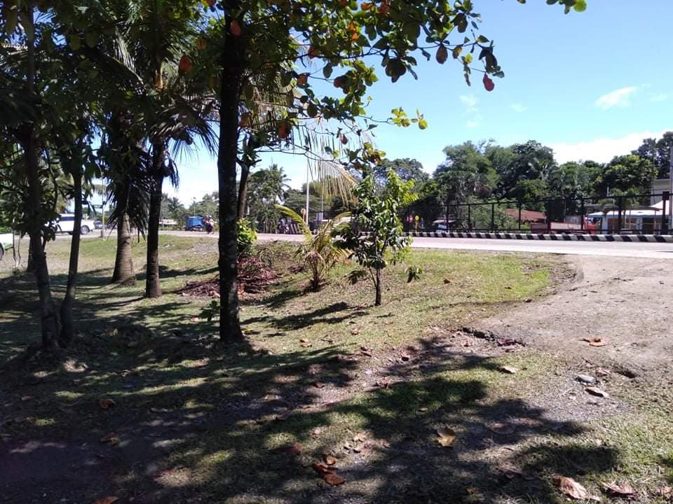 Commercial Lot along Don Carlos Highway, Bukidnon - photo 5