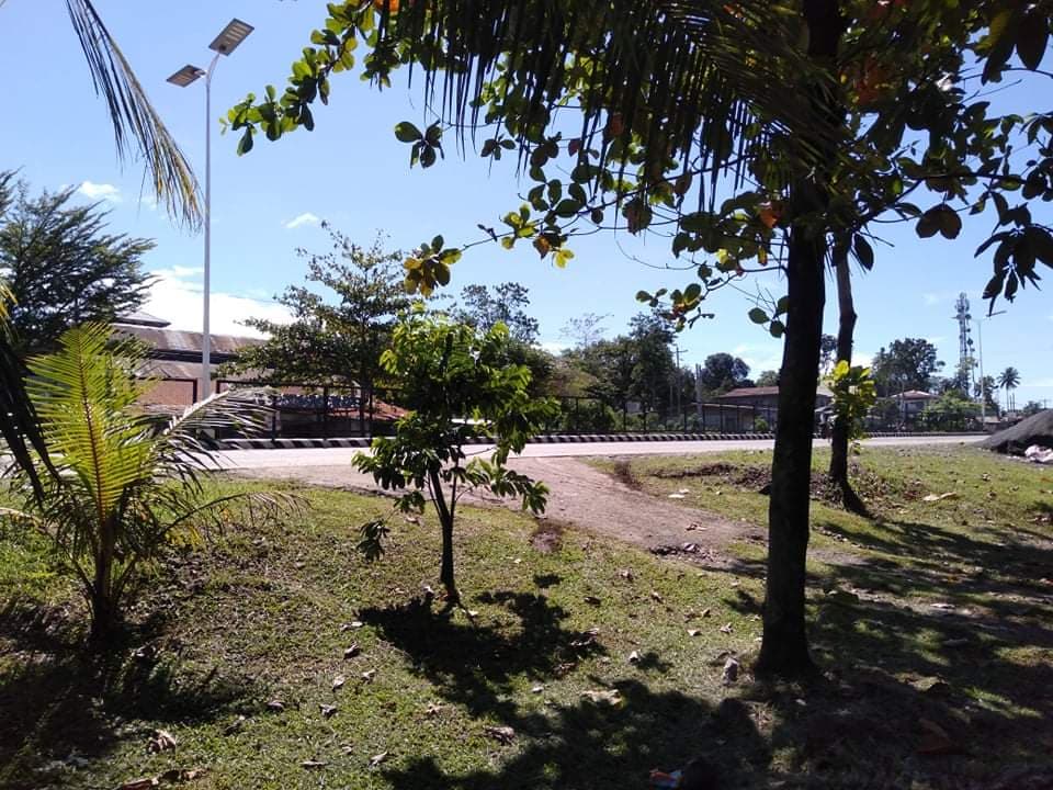 Commercial Lot along Don Carlos Highway, Bukidnon