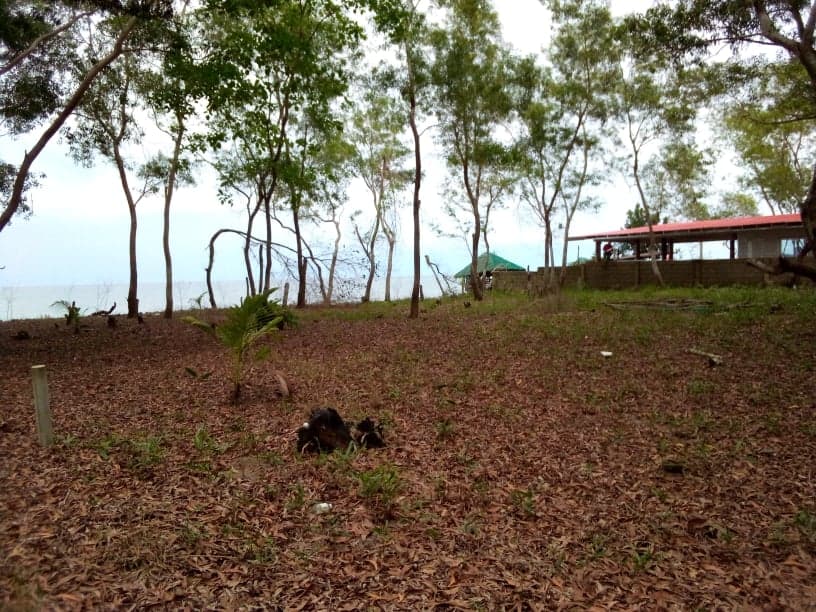 Sipalay City Beach Lot - photo 4