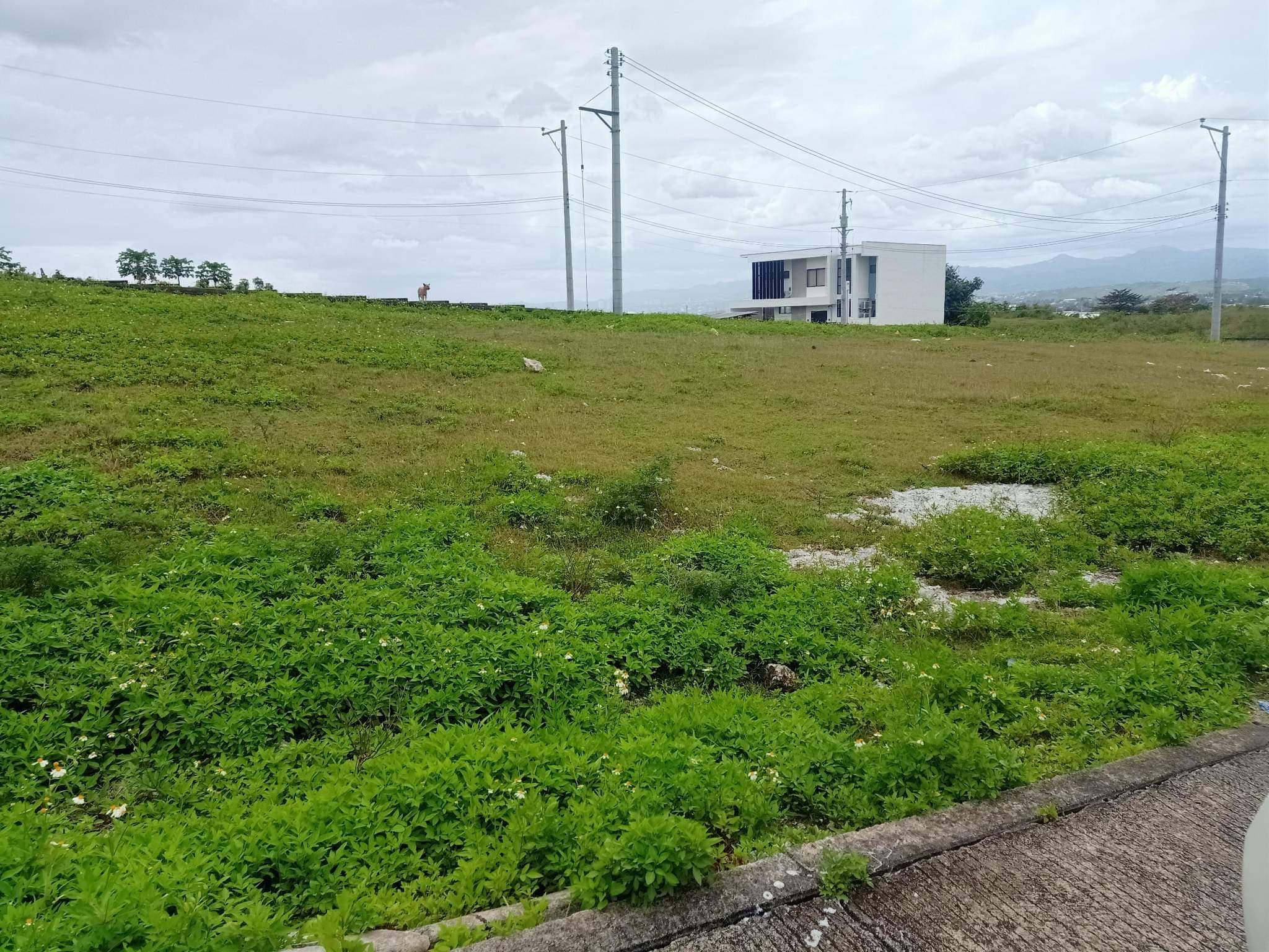 La Vista del Mar - photo 3