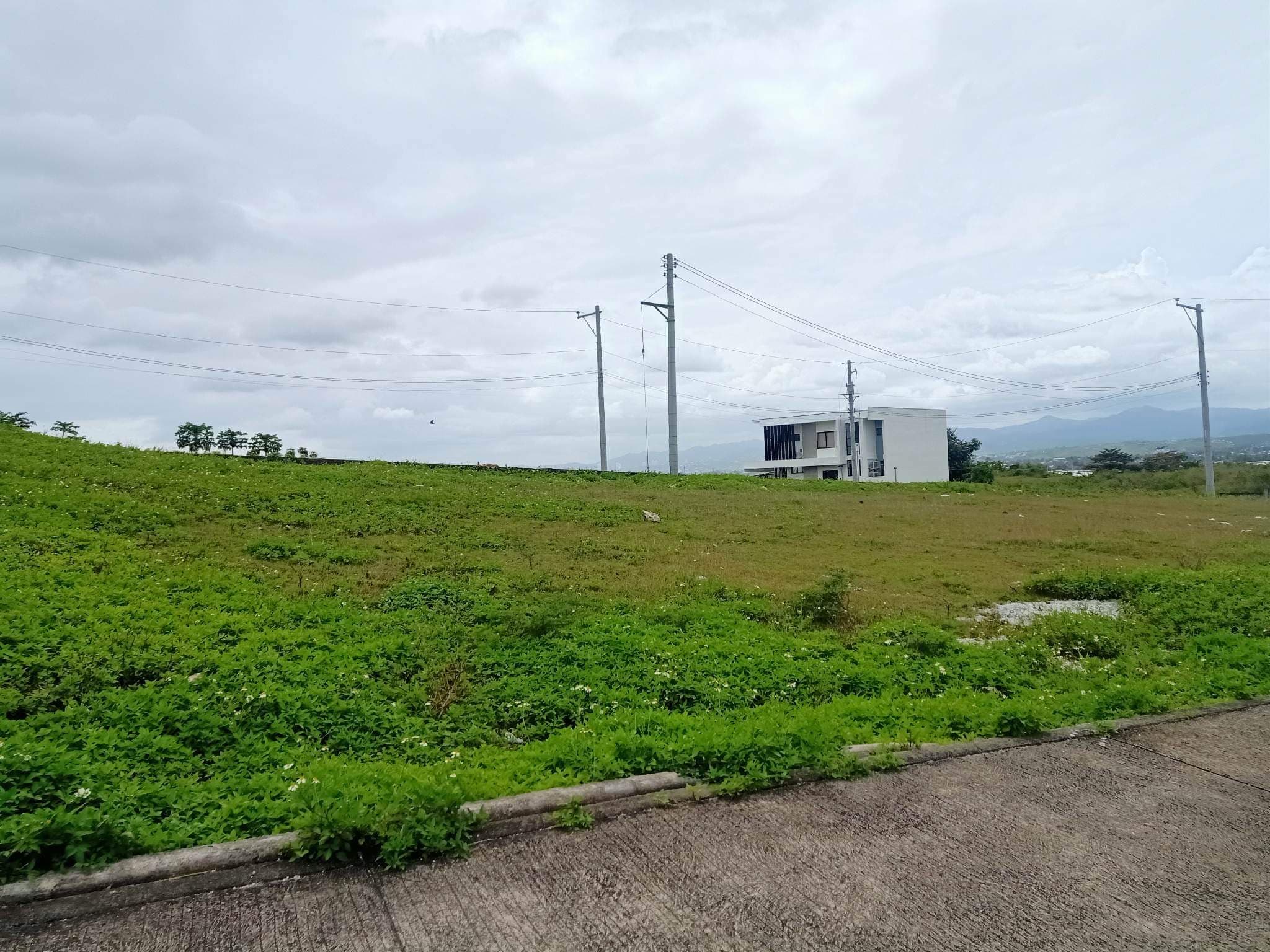 La Vista del Mar - photo 5