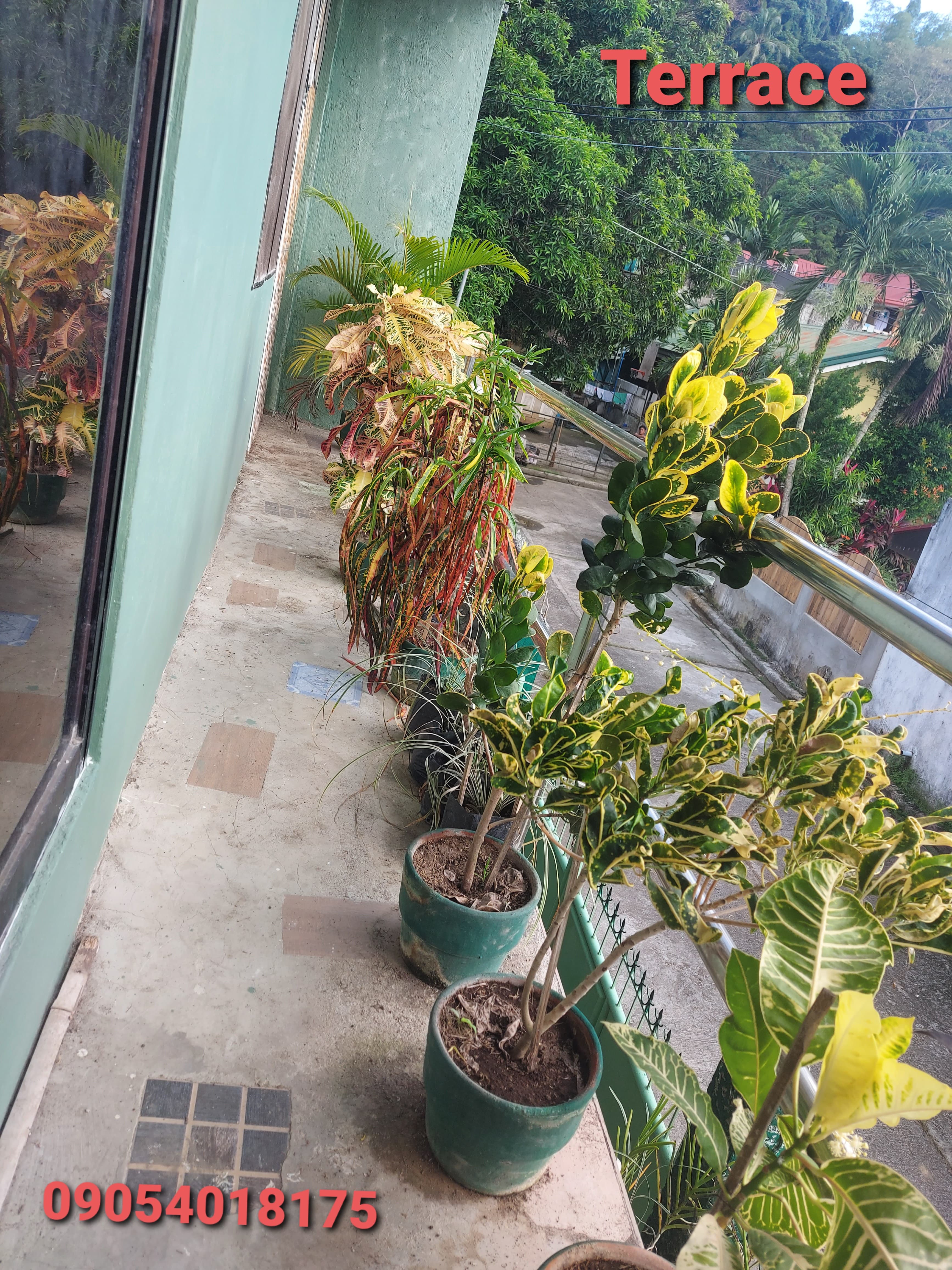 Rush Sale House and Lot - photo 4