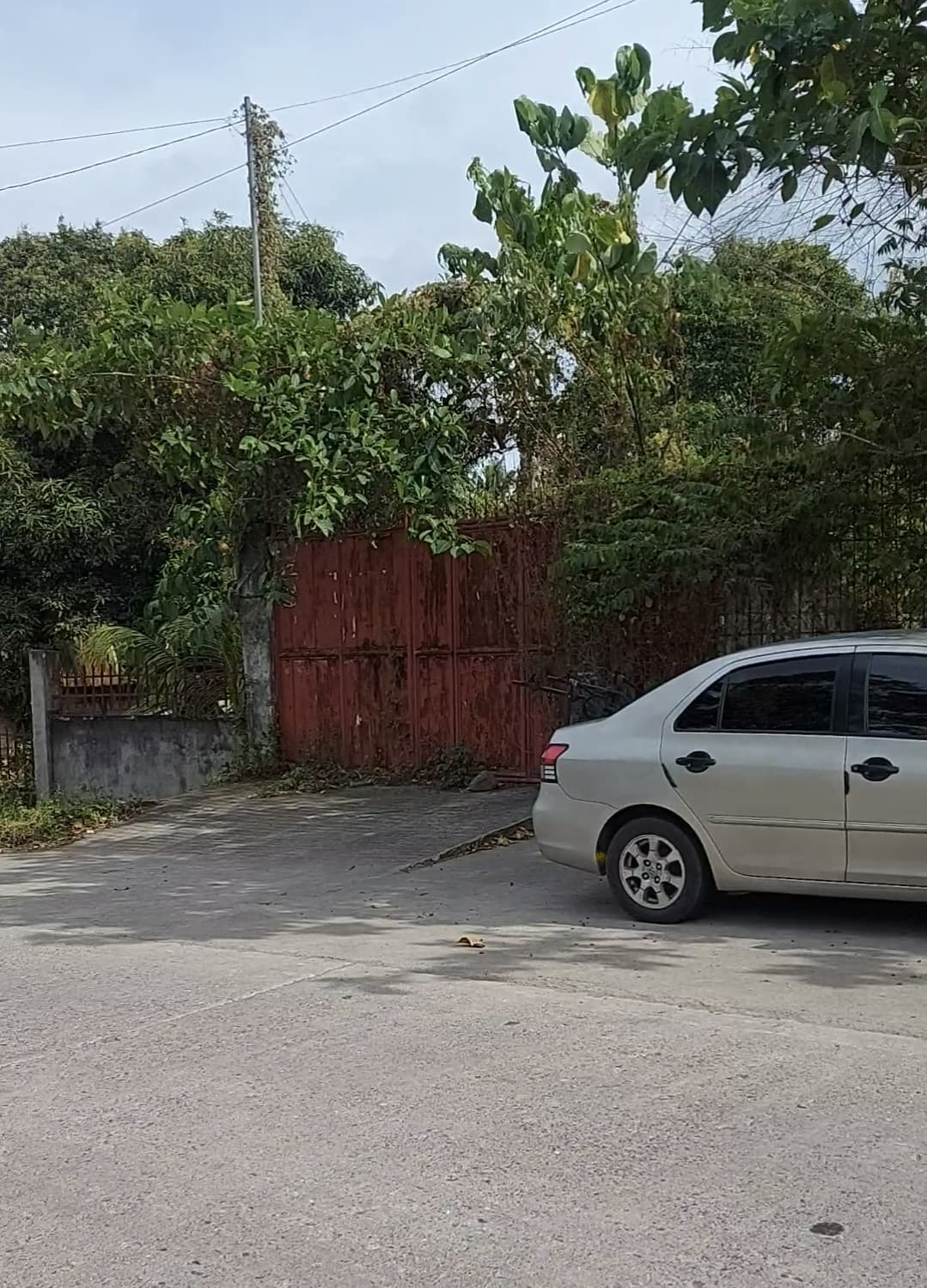 RUSH LOT FOR SALE - photo 2