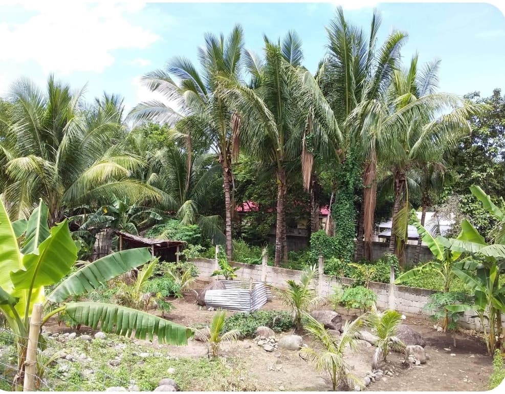 RUSH LOT FOR SALE - photo 3