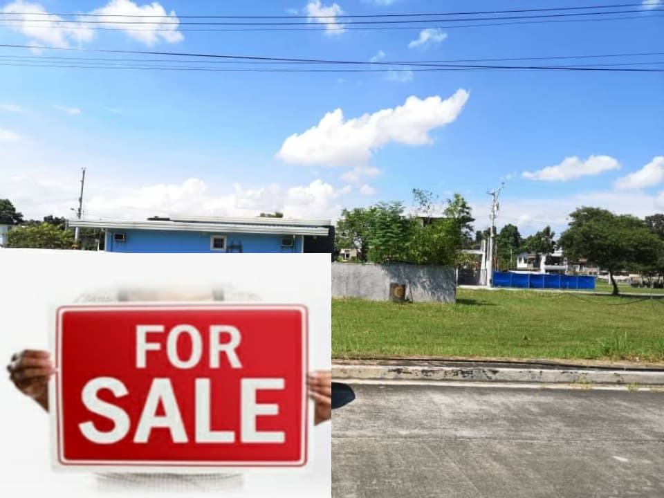 RESIDENTIAL LOT FOR SALE!! - photo 1