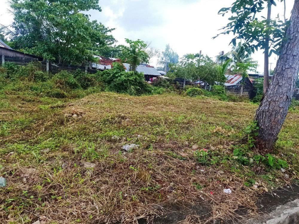 Lot for sale inside subdivision in Golden Meadows, Cordova, Cebu - photo 2