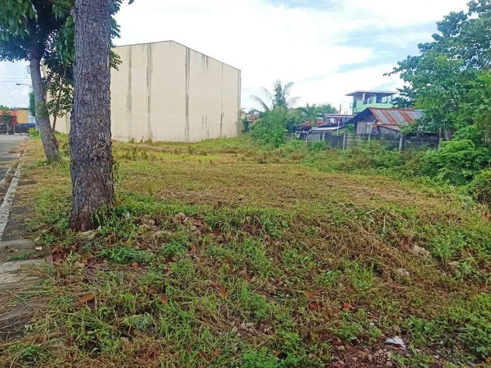 Lot for sale inside subdivision in Golden Meadows, Cordova, Cebu - photo 1