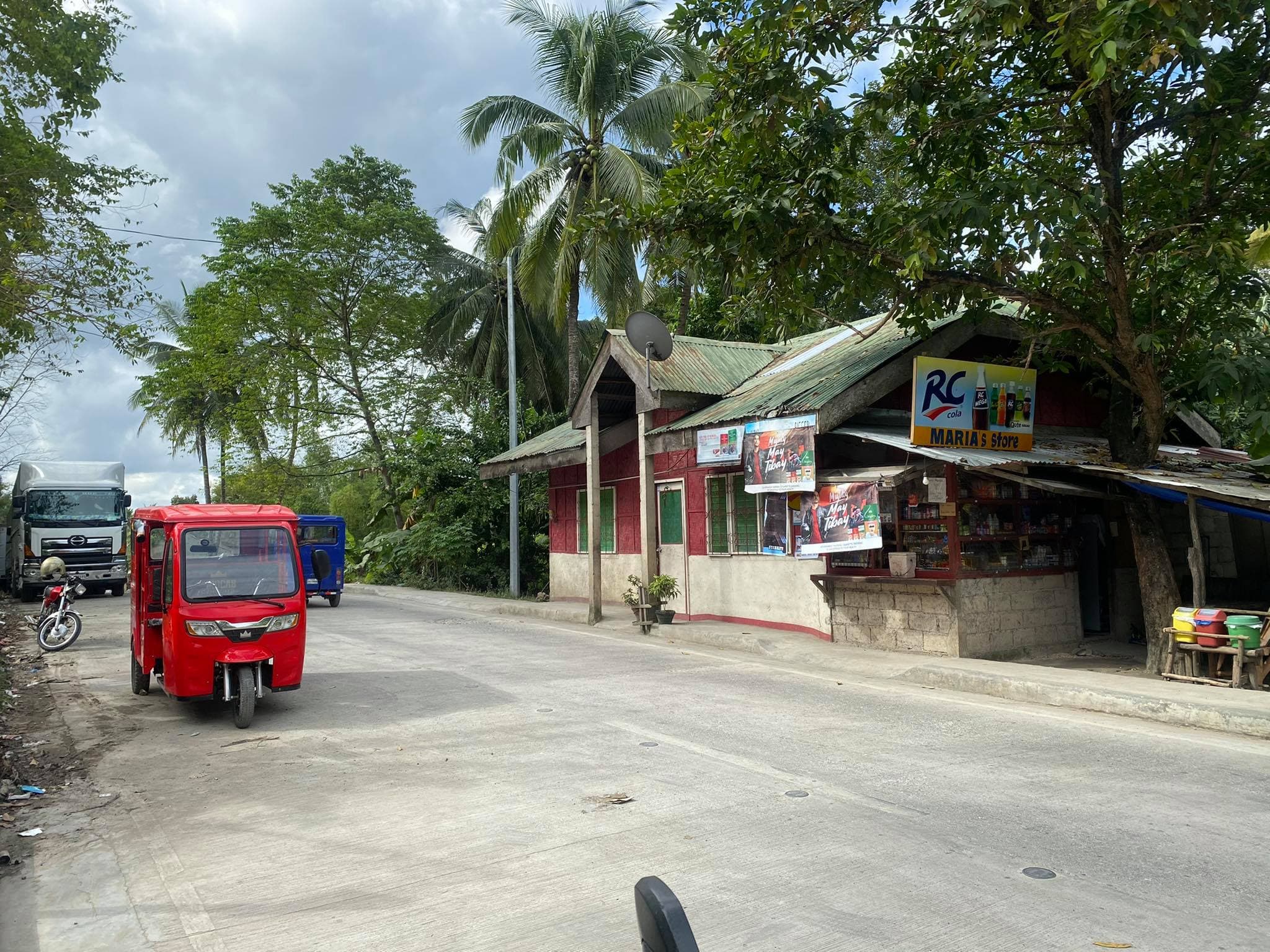 AGRICULTURAL LOT CLEAN TITLE IN POBLACION ,TABUELAN FOR SALE - photo 4