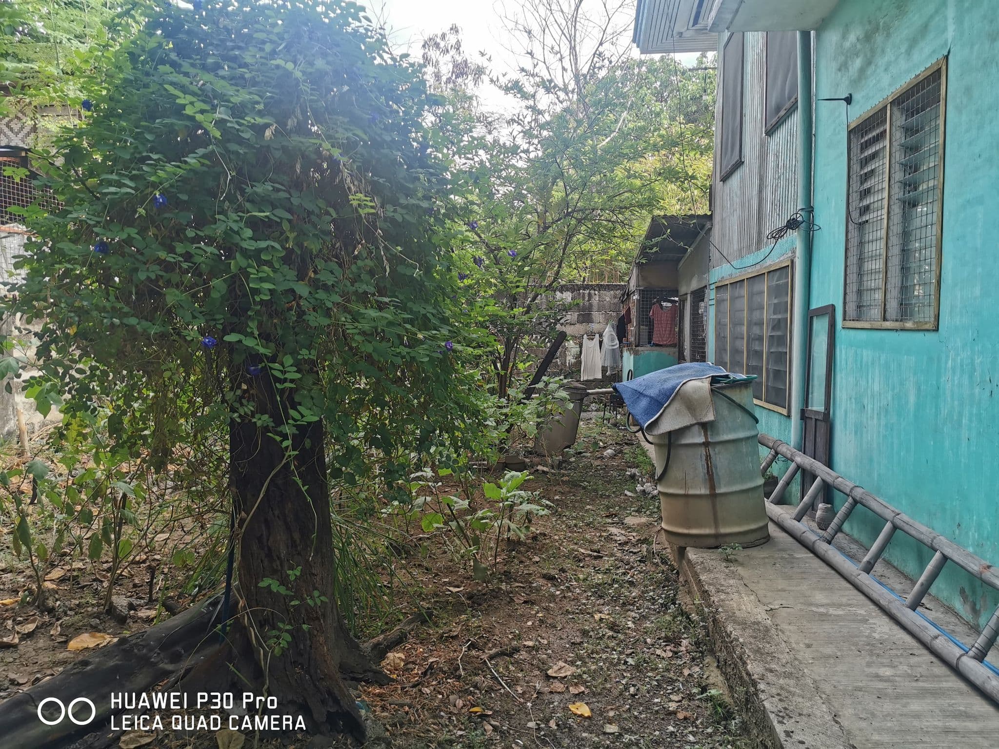 RESIDENTIAL LOT IN IBABAO, MANDAUE FOR SALE - photo 4
