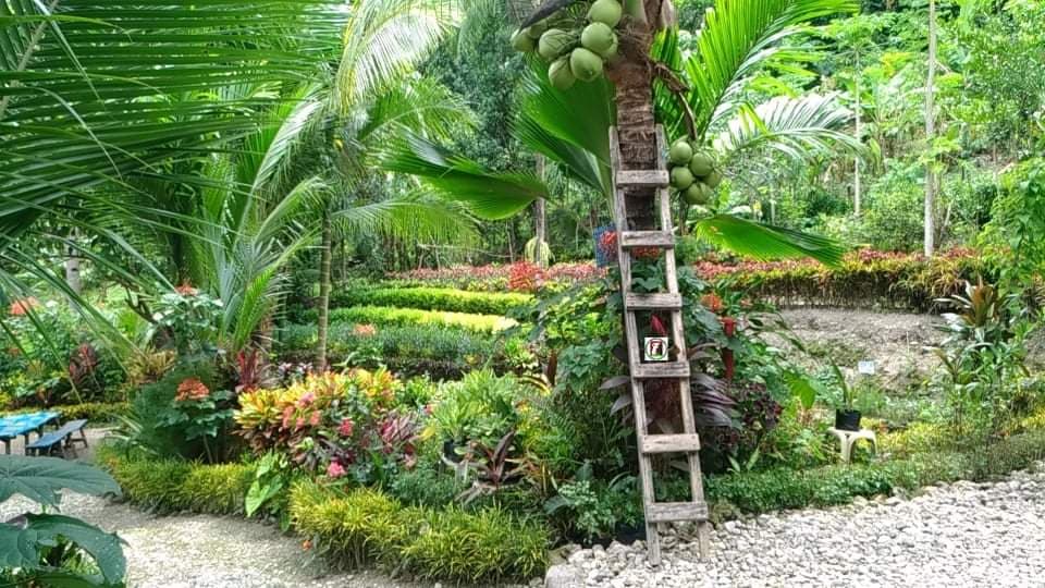 IDEAL FOR RESORT and REST HOUSE - photo 3