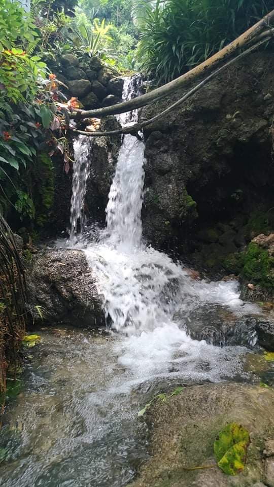 IDEAL FOR RESORT and REST HOUSE - photo 2