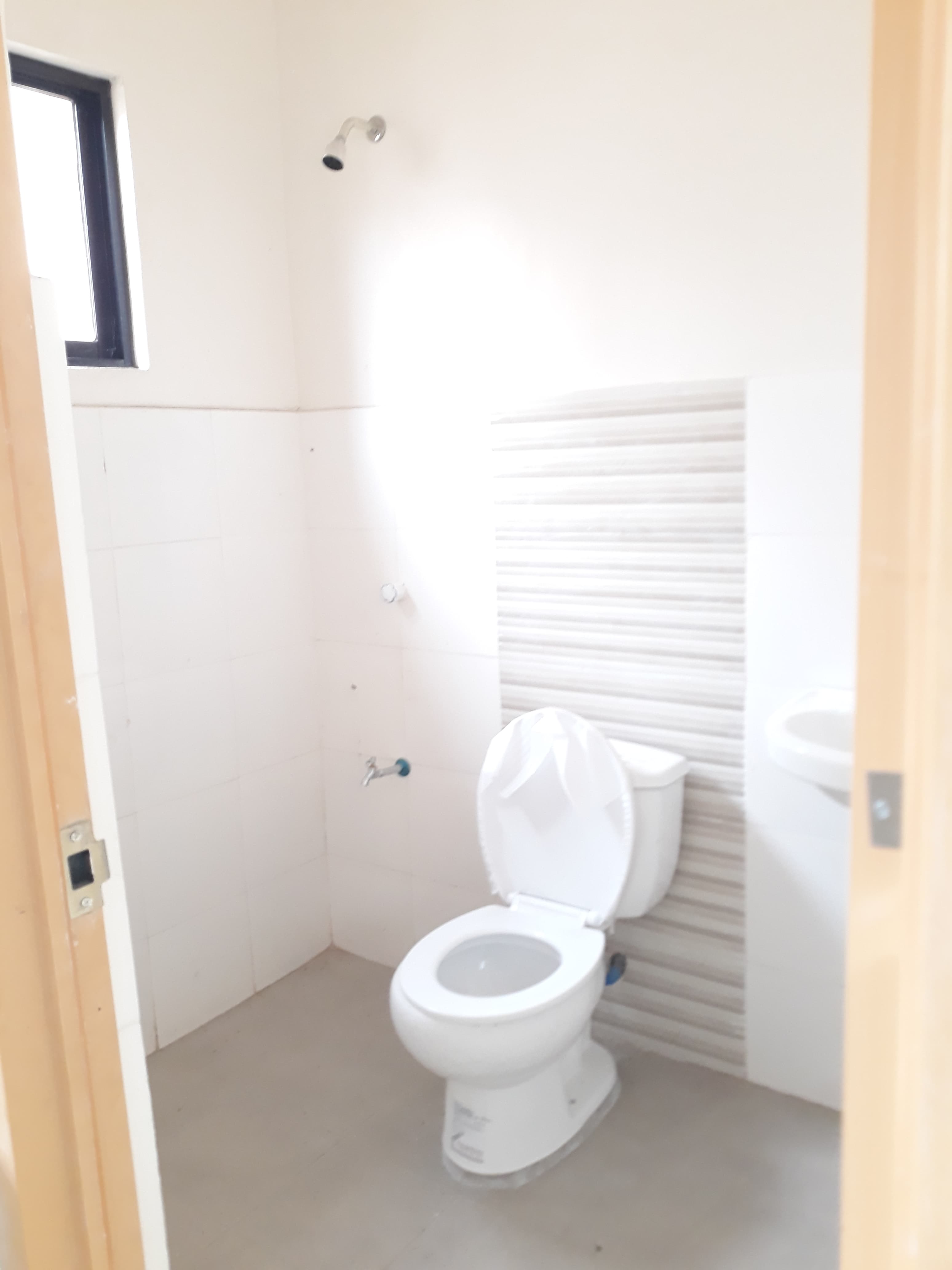 Vivienne Heights for Assume - photo 6